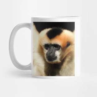 White-cheeked gibbon Mug